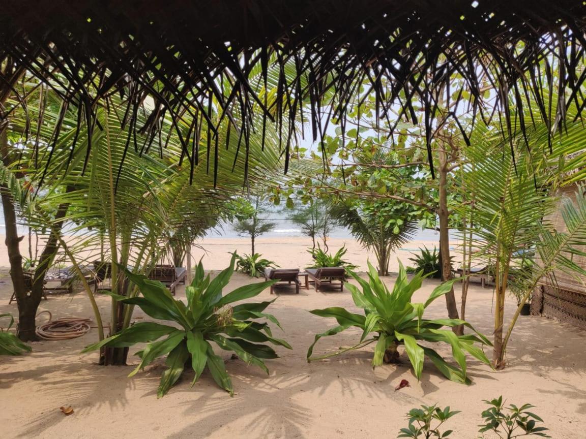 Mariposa Beach Grove Agonda Luaran gambar